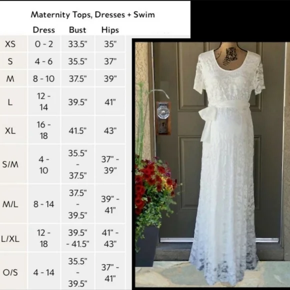 Pinkblush Lace Maxi Empire Waist Sleeved Dress - Picture 12 of 12